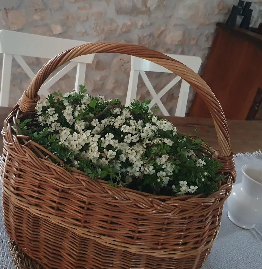 Vila Stone House Rosuja Ivanje