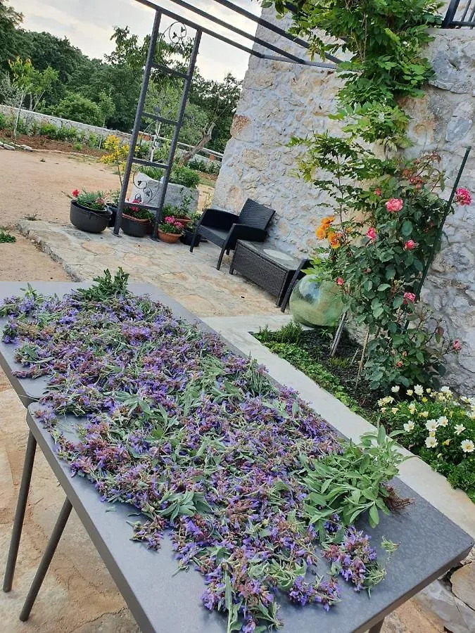 Vila Stone House Rosuja Ivanje Chorvatsko