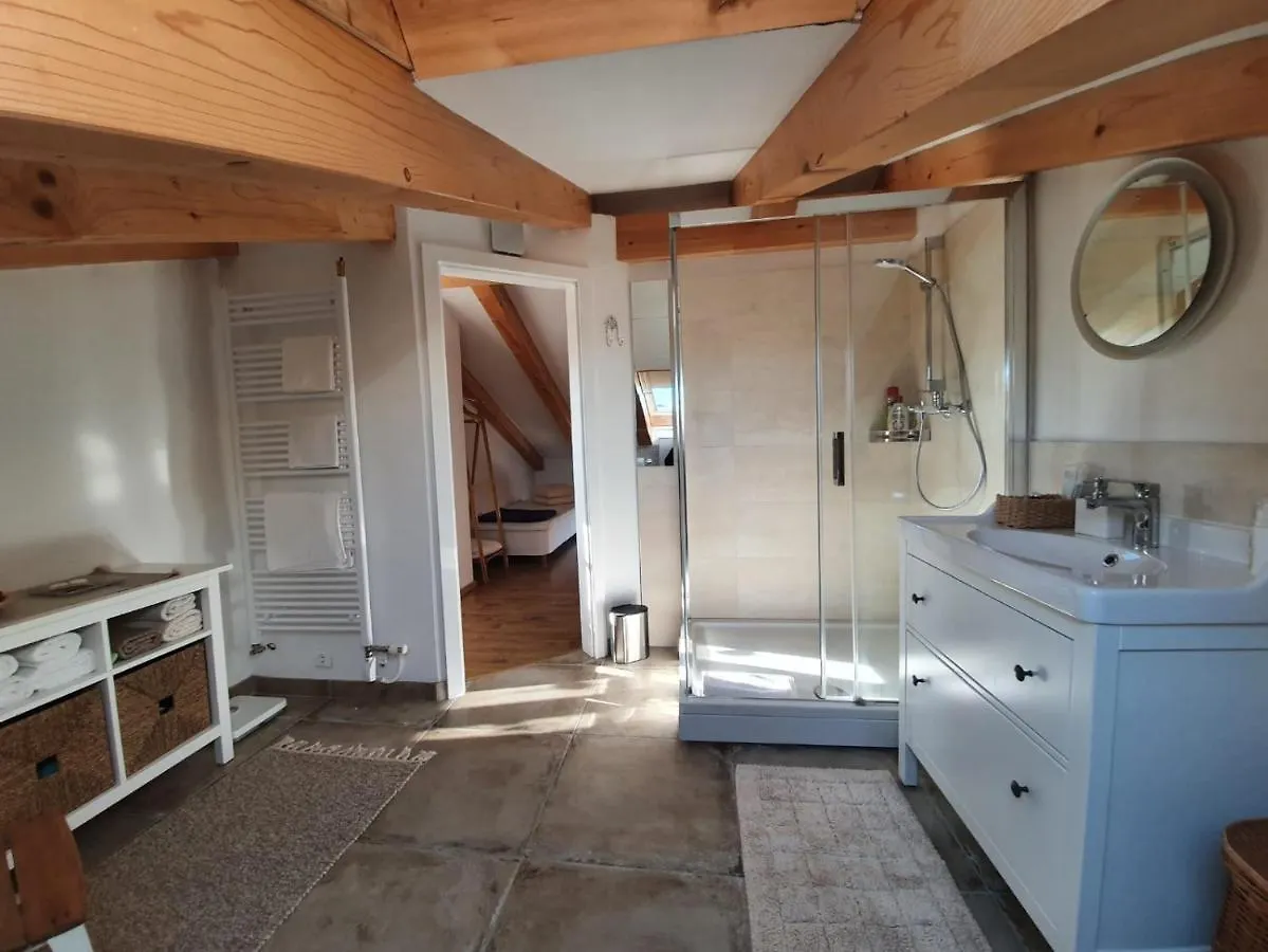 Vila Stone House Rosuja Ivanje 0*,