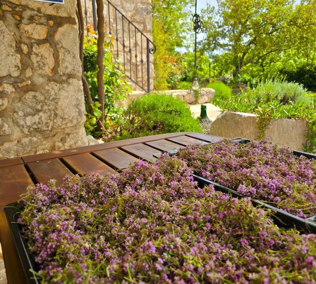 Stone House Rosuja Villa Ivanje 0*,  Croatia
